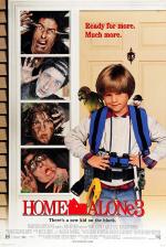 home alone 4 taking back the house home alone 4 taking back the house