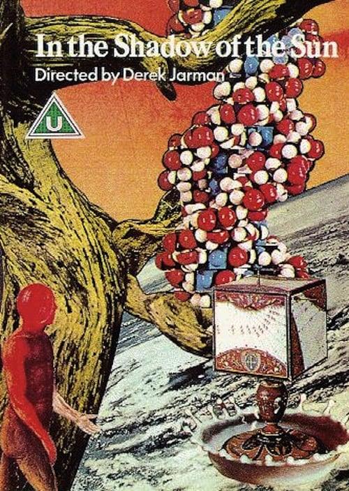 In the Shadow of the Sun