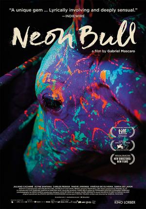 Boi Neon