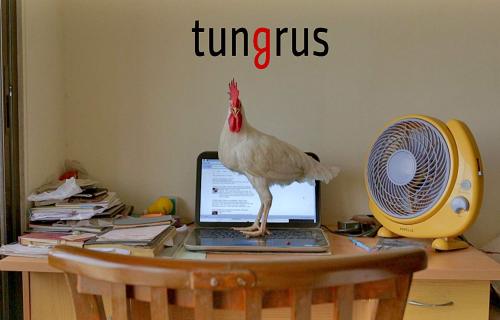 Tungrus