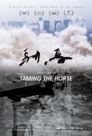 Taming the Horse
