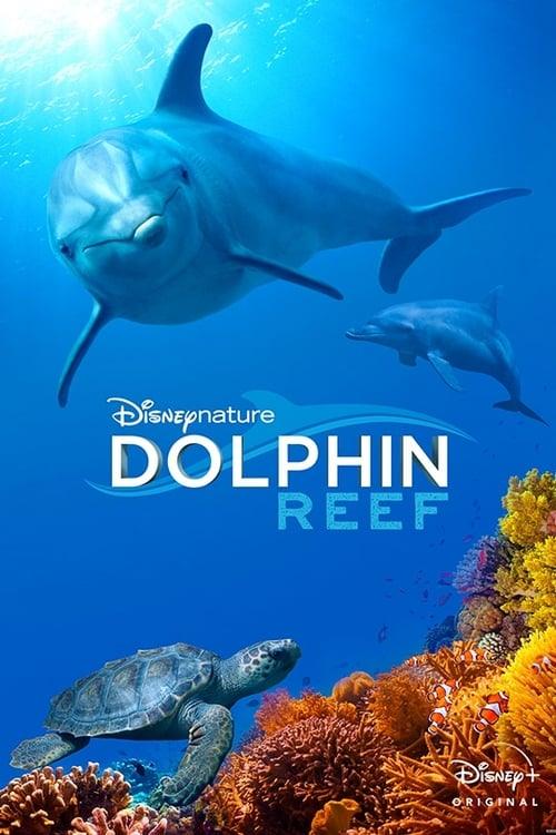 Disneynature: Dolphin Reef