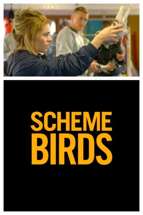 Scheme Birds