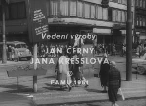Cernobílá Sylva