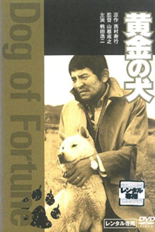 Dog of Fortune