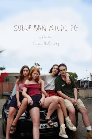 Suburban Wildlife
