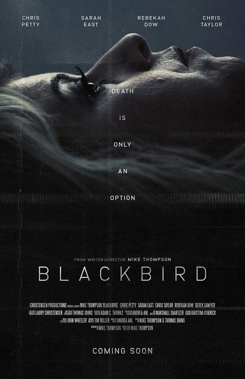 Blackbird