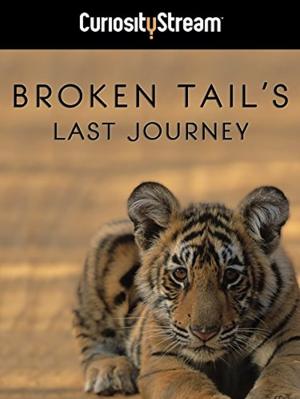 Broken Tail