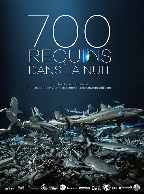 700 requins dans la nuit