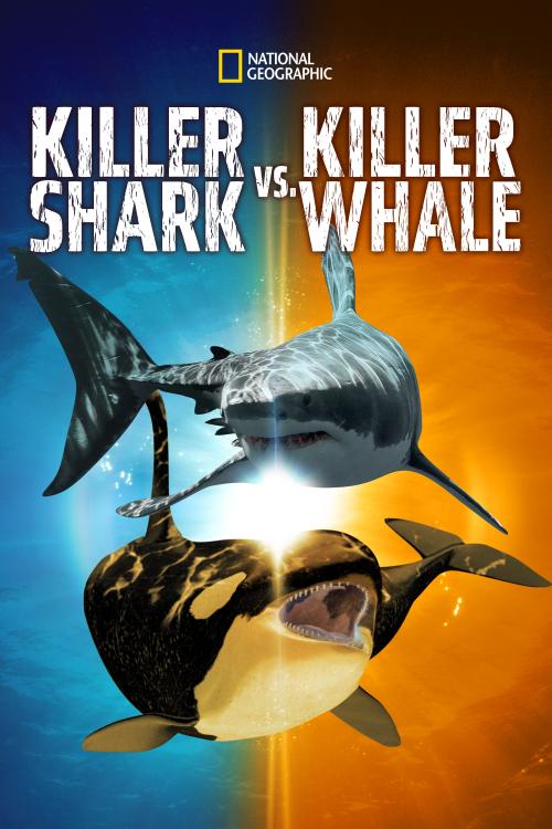 Killer Shark vs. Killer Whale