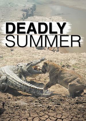 Wild Deadly Summer