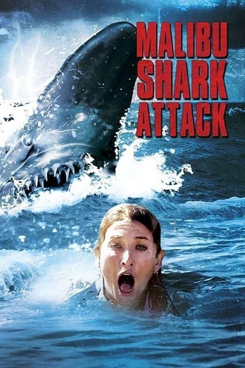 Malibu Shark Attack