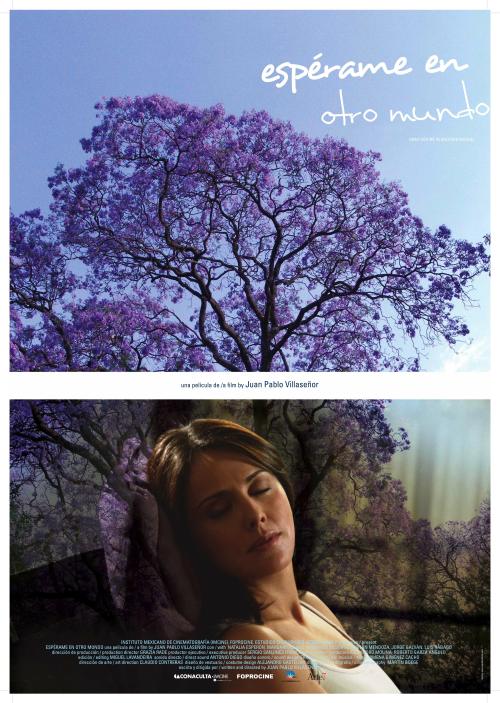 Espérame en otro mundo