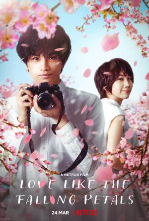 My Dearest, Like a Cherry Blossom