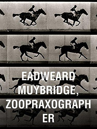 Eadweard Muybridge, Zoopraxographer