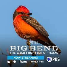 Nature Big Bend: The Wild Frontier of Texas