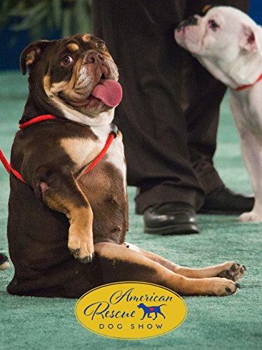 2018 American Rescue Dog Show