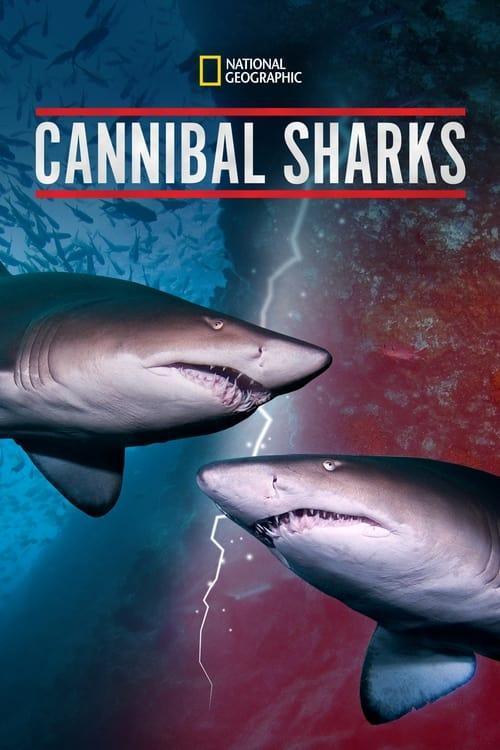 Cannibal Sharks