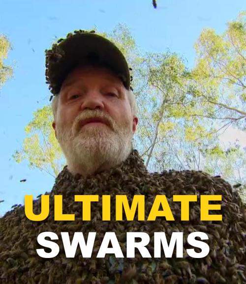 Ultimate Swarms