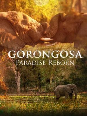Gorongosa: Paradise Reborn