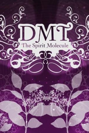 DMT: The Spirit Molecule