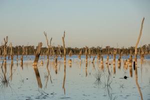 The Lake of Scars