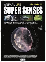 Super Senses