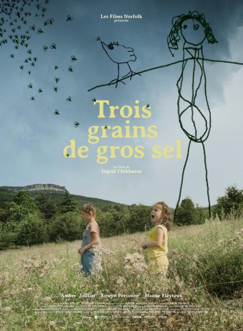 Trois grains de gros sel