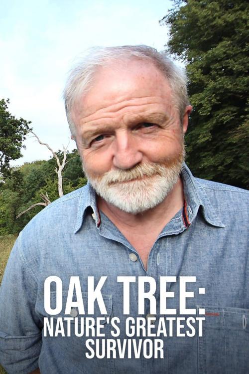 Oak Tree: Nature's Greatest Survivor