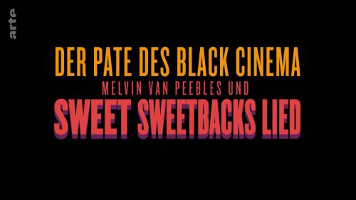 Naissance d'un héros noir au cinéma : Sweet Sweetback