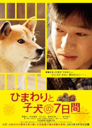 Himawari to koinu no 7-kakan