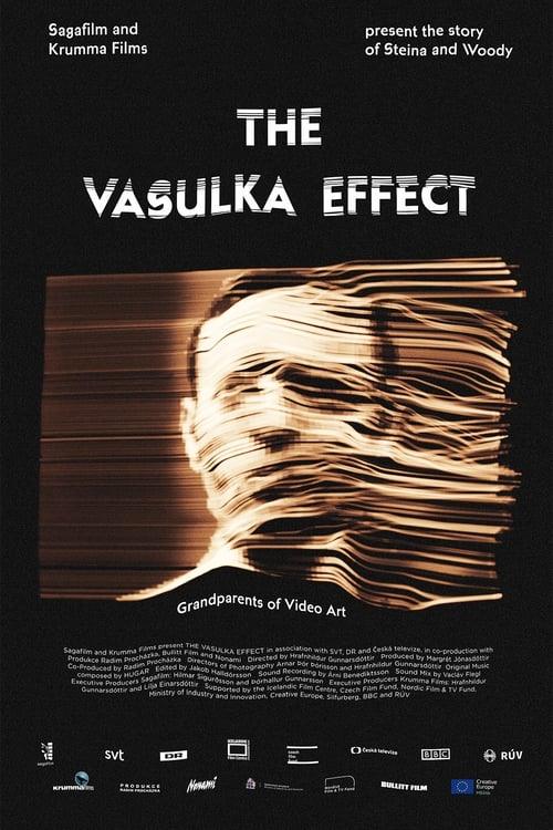 The Vasulka Effect