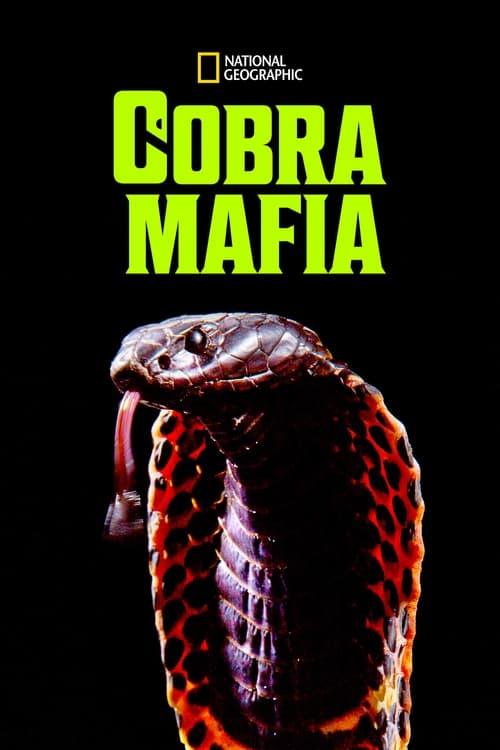 Cobra Mafia