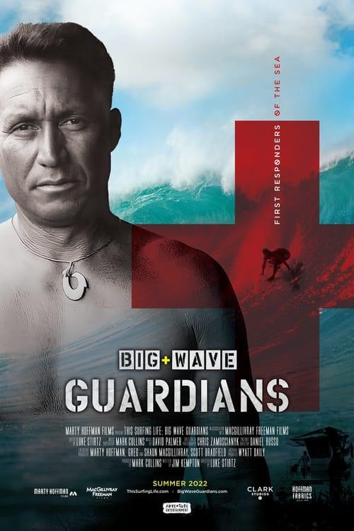 Big Wave Guardians