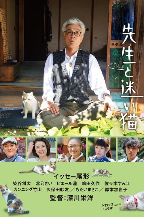 Teacher and Stray Cat Teacher and Stray Cat