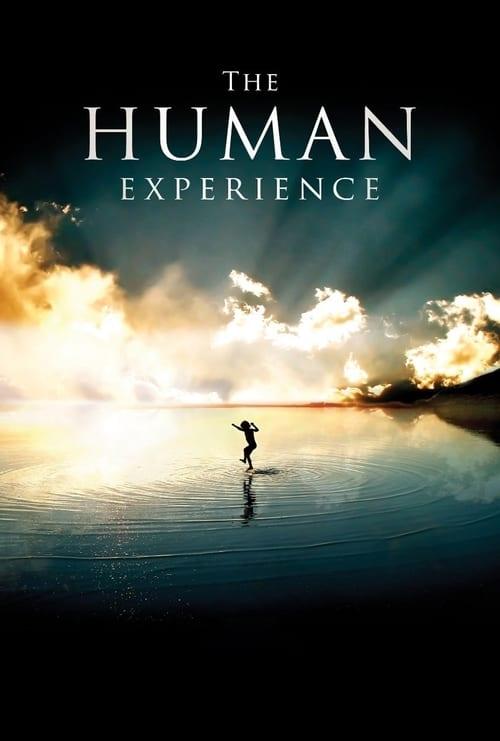 The Human Experience