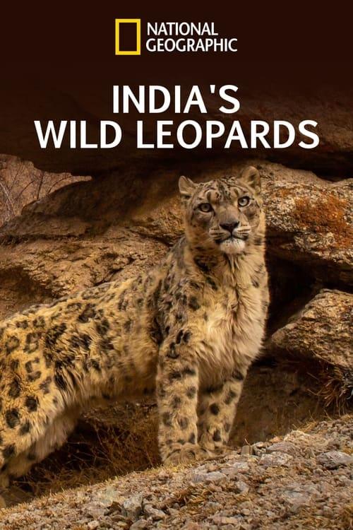 India's Wild Leopards