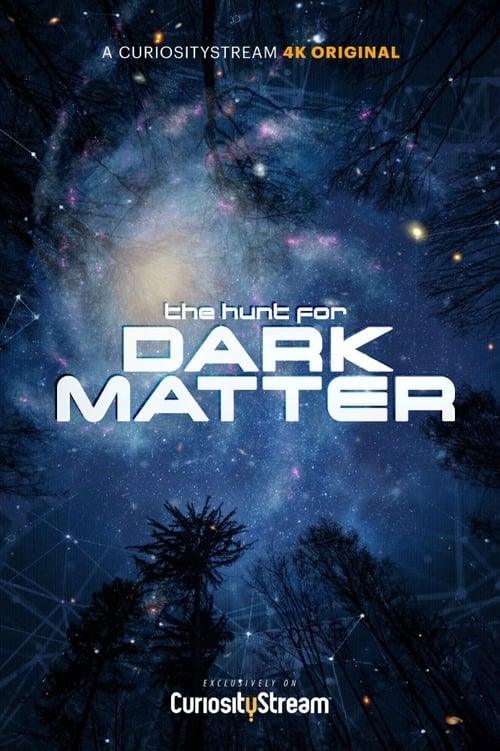 The Hunt for Dark Matter