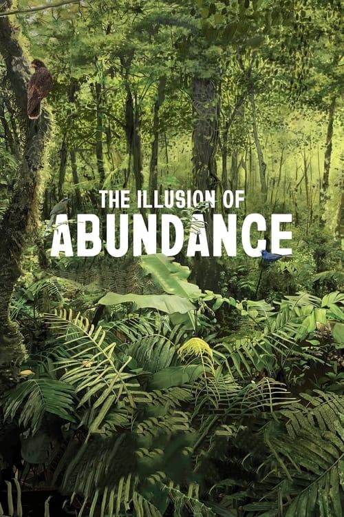 The Illusion of Abundance