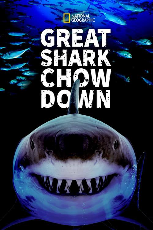 Great Shark Chow Down