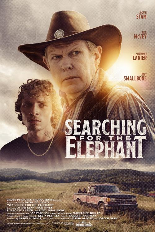 Searching for the Elephant