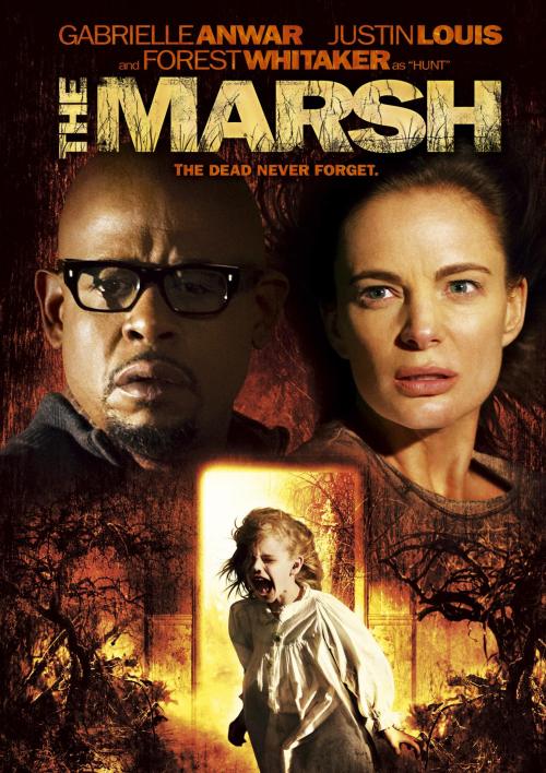 The Marsh