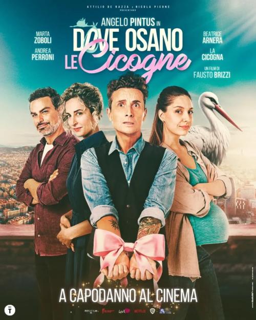 Dove osano le cicogne