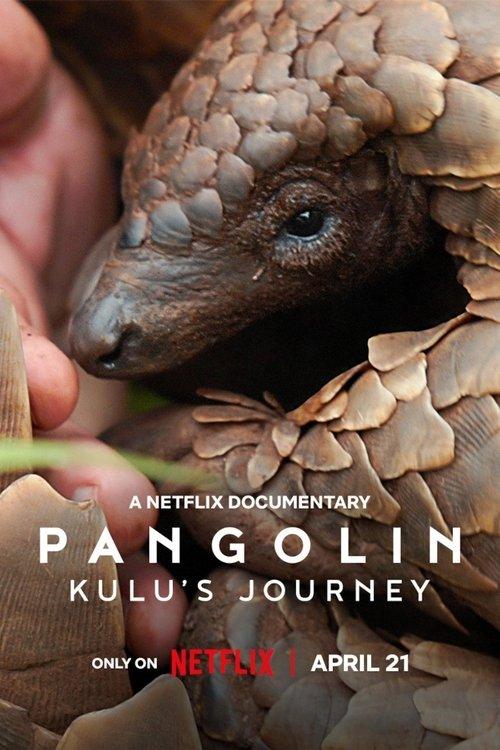 Pangolin: Kulu's Journey Pangolin: Kulu's Journey