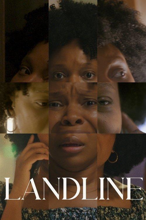 Landline Landline