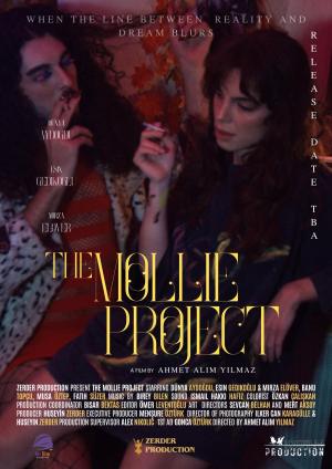 The Mollie Project