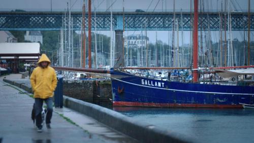 À l'école de l'universel: Germaine Le Goff, l'histoire d'une pionnière
