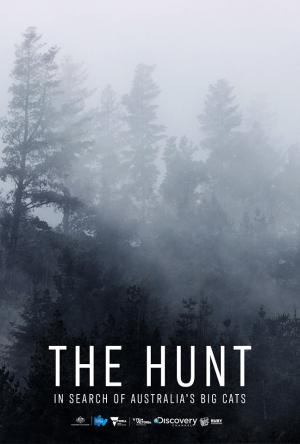 The Hunt: In Search of Australia's Big Cats
