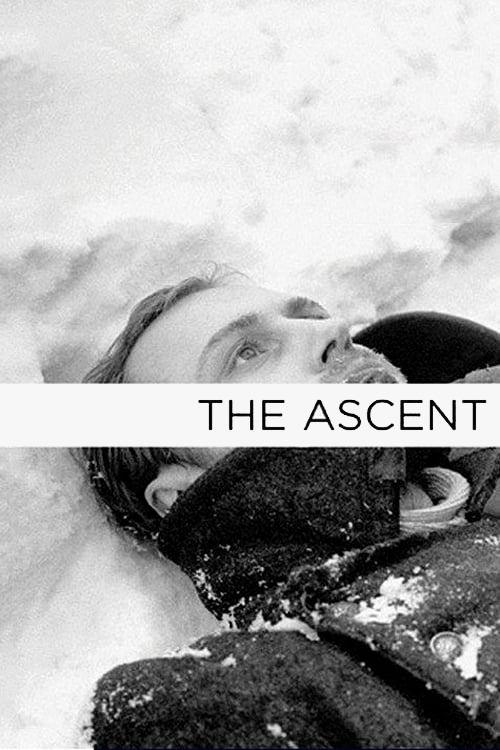 The Ascent The Ascent