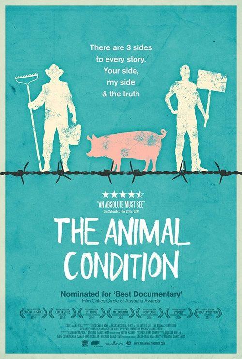 The Animal Condition The Animal Condition